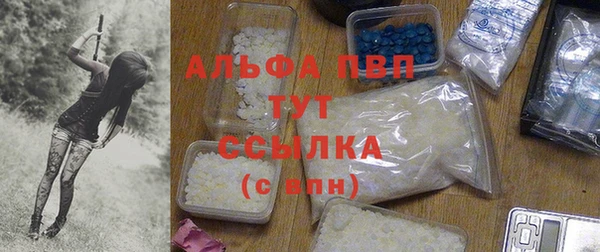 спиды Медногорск