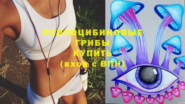 таблы Медвежьегорск